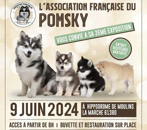 Exposition AFP – 9 juin 2024 à Moulins-la-Marche (Orne)