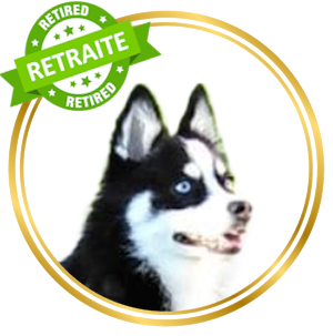 Kichë