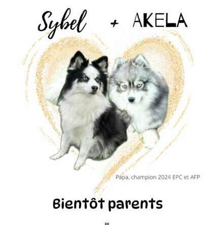 A la Une : Mariage Sybel + Akela