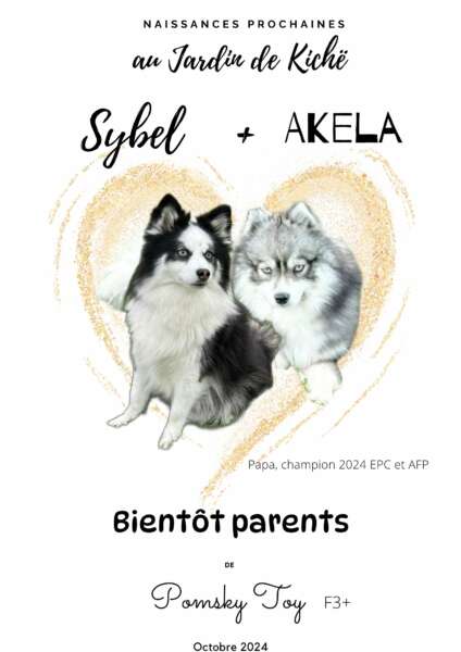 A la Une : Mariage Sybel + Akela