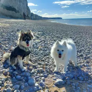 akela et snow