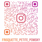 Frisquette Instagram